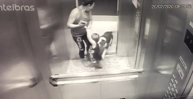 Bé trai bị chó tấn công khi sử dụng thang máy