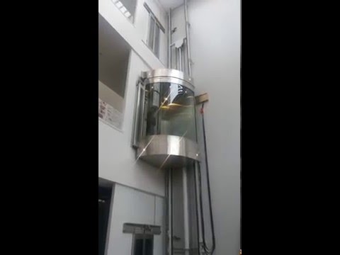 Đánh giá ưu và khuyết điểm của thang máy thủy lực
