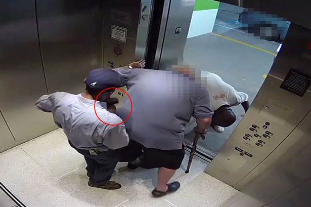 Ăn trộm ví ở công ty thang máy phải hầu tòa