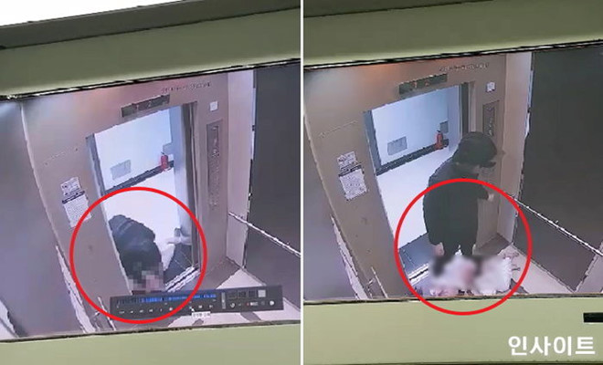 Đi tù vì hành hung chó trong thang máy