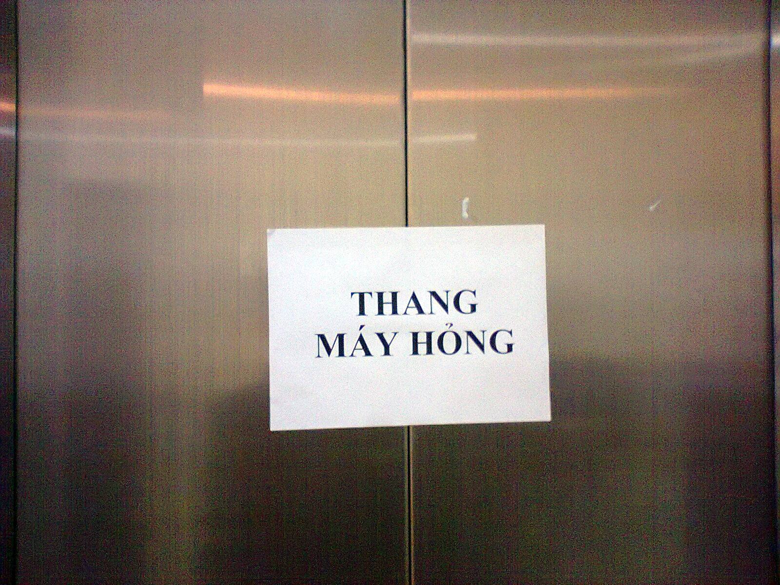 thang may hong